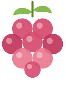 Raspberry Refresher
